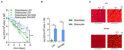 Osteocytes Serve as a Reservoir for Intracellular Persisting Staphylococcus aureus Due to the Lack of Defense Mechanisms